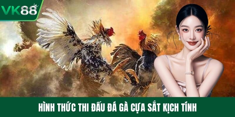 Hình thức thi đấu đá gà cựa sắt kịch tính