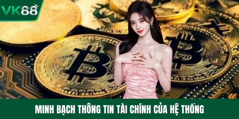 Minh bạch thông tin tài chính của hệ thống