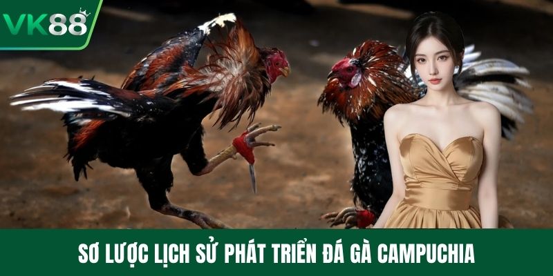 Sơ lược lịch sử phát triển đá gà campuchia