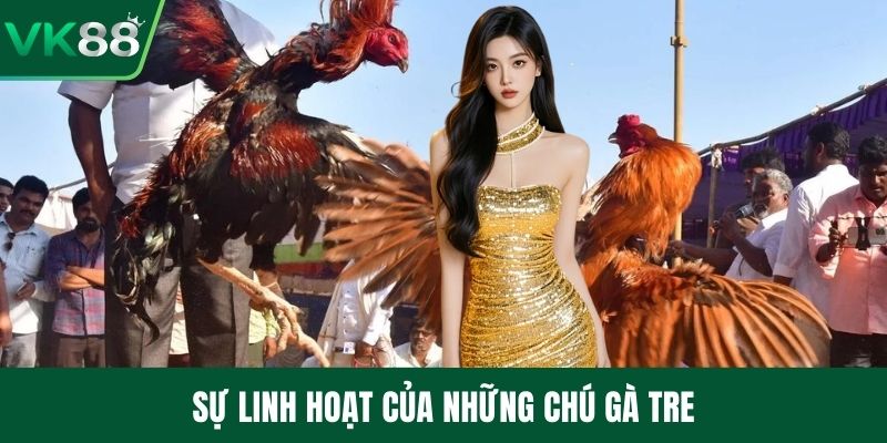 Sự linh hoạt của những chú gà tre