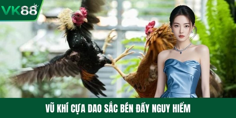 Vũ khí cựa dao sắc bén đầy nguy hiểm